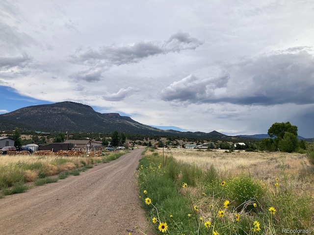 100 Mica Rd, South Fork, CO 81154 - photo 17