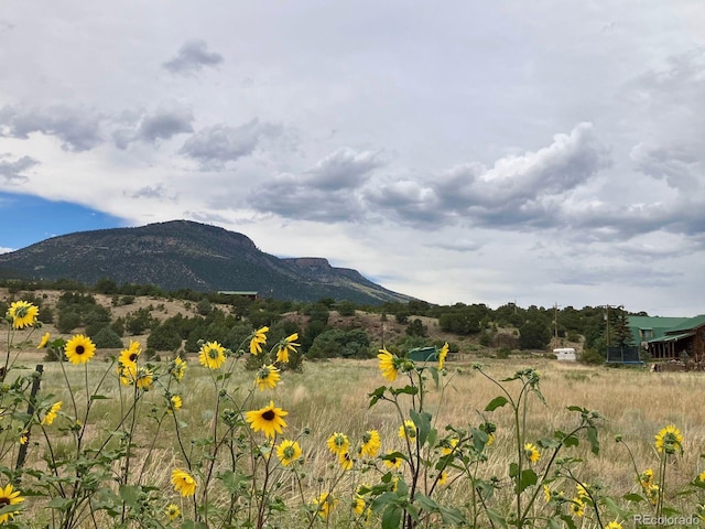 100 Mica Rd, South Fork, CO 81154 - photo 20