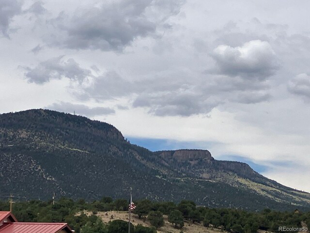 100 Mica Rd, South Fork, CO 81154 - photo 22