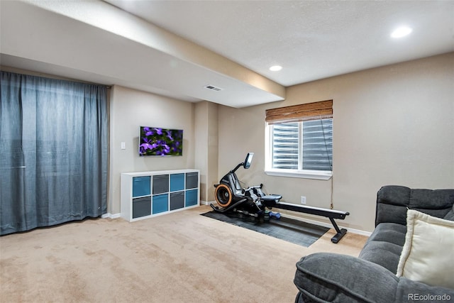 1179 S Alton Ct, Denver, CO 80247 - exercise room featuring carpet floors, baseboards, and recessed lighting
