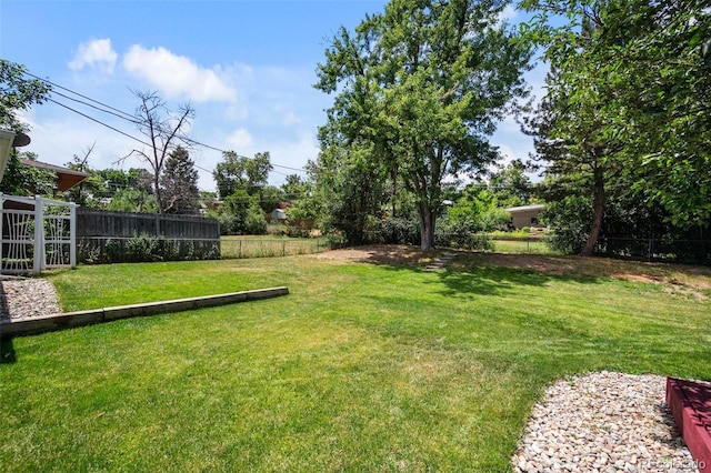 6749 S Foresthill St, Littleton, CO 80120 - view of yard