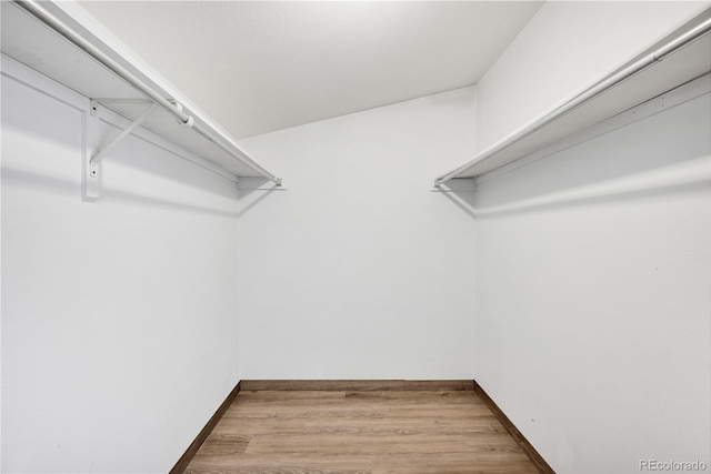 225 E 8th Ave Unit A2, Longmont, CO 80504 - spacious closet with wood finished floors