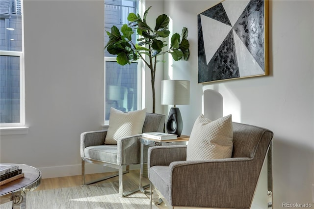 living area featuring hardwood / wood-style flooring