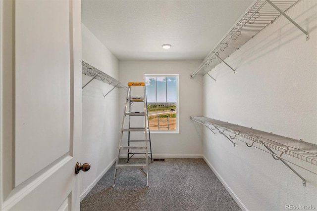 455 S Salida St, Aurora, CO 80017 - spacious closet featuring carpet flooring