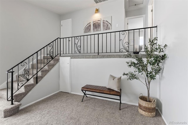 stairs with carpet floors