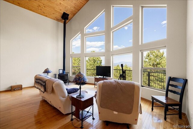 167 Wapiti Ct, Canon City, CO 81212 - living area featuring a wood stove, high vaulted ceiling, plenty of natural light, wood-type flooring, and wooden ceiling