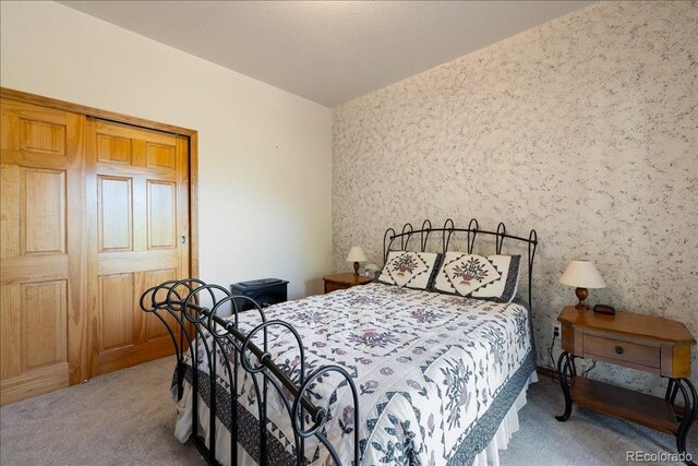 167 Wapiti Ct, Canon City, CO 81212 - view of carpeted bedroom