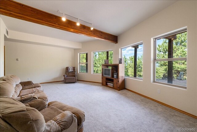167 Wapiti Ct, Canon City, CO 81212 - living area with rail lighting, baseboards, light colored carpet, and beam ceiling