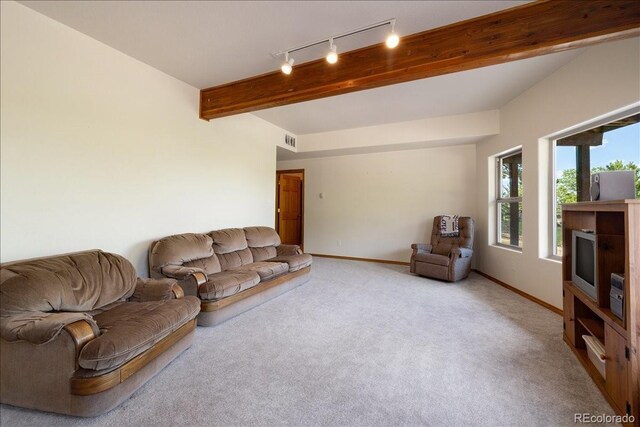 167 Wapiti Ct, Canon City, CO 81212 - living area featuring track lighting, light colored carpet, baseboards, and beam ceiling