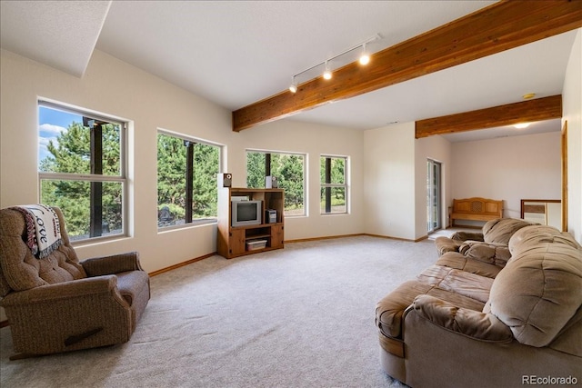 167 Wapiti Ct, Canon City, CO 81212 - living area with baseboards, rail lighting, light colored carpet, healthy amount of natural light, and beamed ceiling