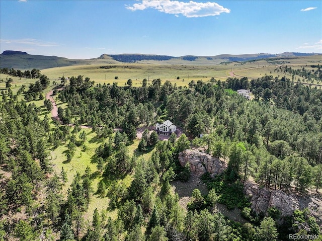 167 Wapiti Ct, Canon City, CO 81212 - aerial view of property and surrounding area with a heavily wooded area and a mountainous background