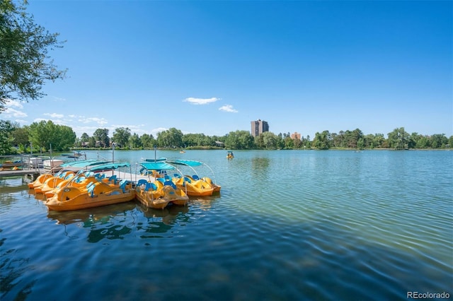 property view of water with a dock