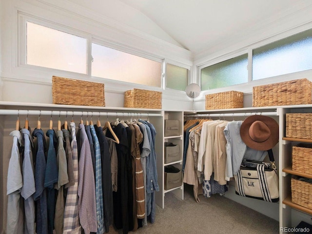 walk in closet featuring carpet flooring and lofted ceiling