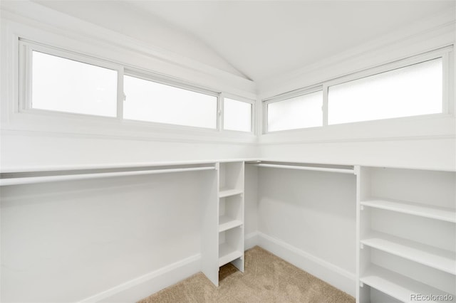 spacious closet with vaulted ceiling and light colored carpet