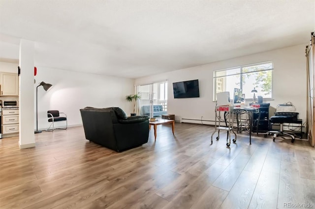 living room featuring light hardwood / wood-style flooring