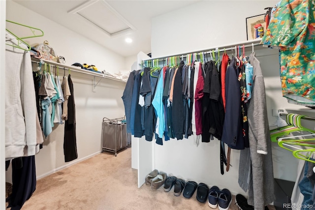 19316 W 84th Pl, Arvada, CO 80007 - spacious closet with attic access and carpet floors