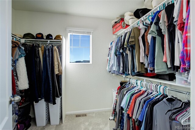 walk in closet featuring carpet