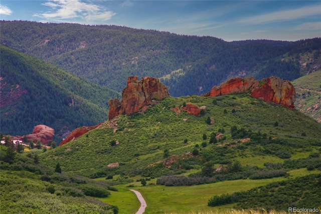 5531 Remuda Ranch Pkwy, Larkspur, CO 80118