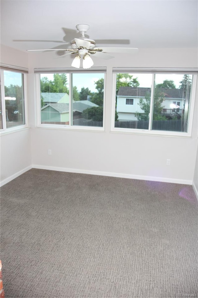 9762 Appletree Pl, Thornton, CO 80260 - photo 14