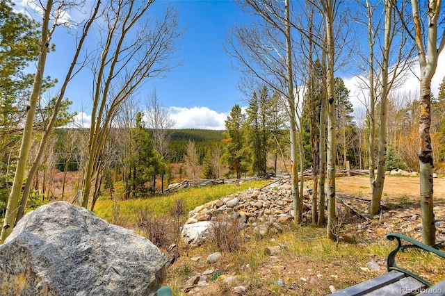2891 Nugget Rd, Fairplay, CO 80440 - view of yard