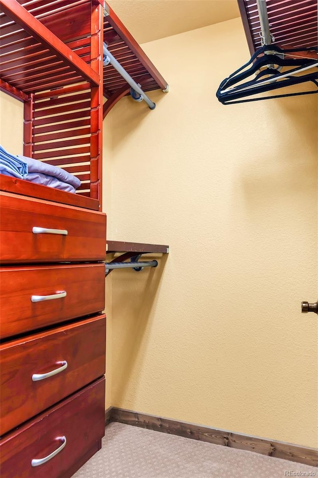 2891 Nugget Rd, Fairplay, CO 80440 - walk in closet with carpet