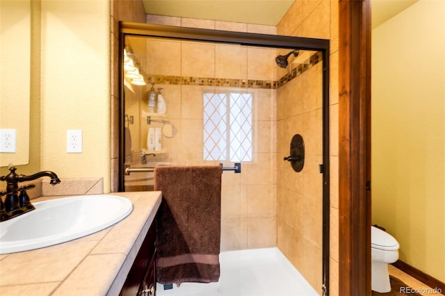 2891 Nugget Rd, Fairplay, CO 80440 - bathroom featuring a shower stall, vanity, toilet, and a textured wall