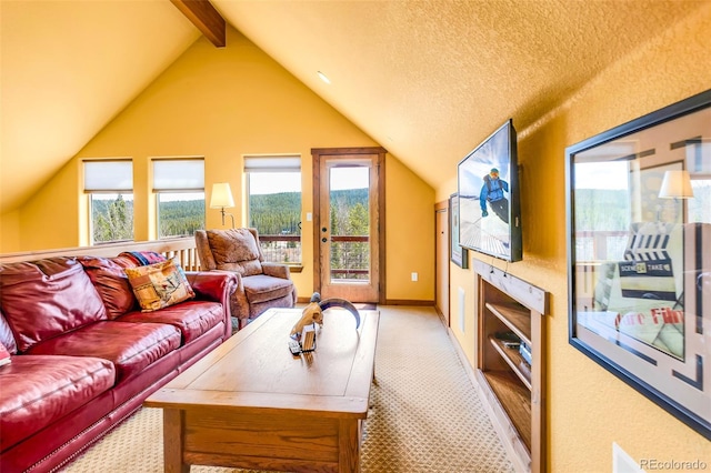 2891 Nugget Rd, Fairplay, CO 80440 - living area with light carpet