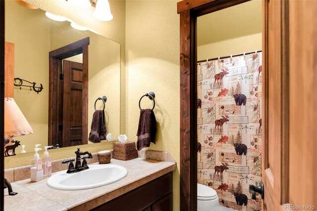 2891 Nugget Rd, Fairplay, CO 80440 - bathroom featuring vanity, toilet, and a shower with curtain