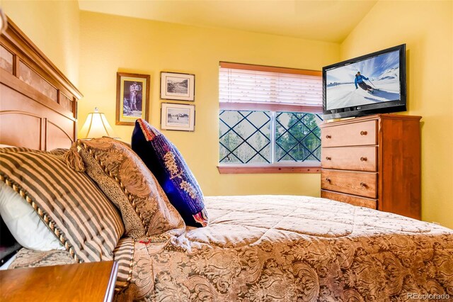 2891 Nugget Rd, Fairplay, CO 80440 - view of bedroom