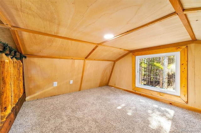 495 Georgia Pass, Jefferson, CO 80456 - additional living space with lofted ceiling, carpet, and wooden walls