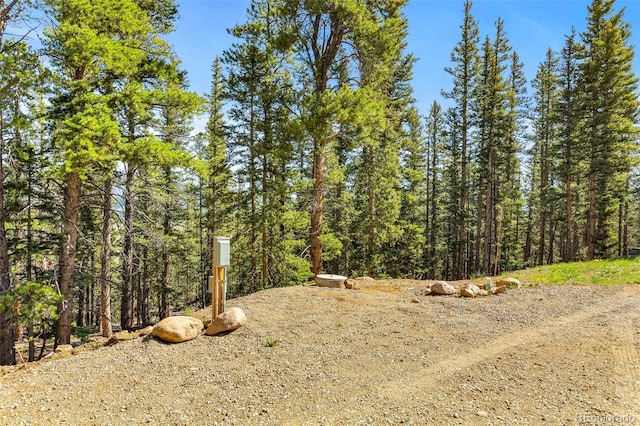 495 Georgia Pass, Jefferson, CO 80456 - view of yard featuring a view of trees