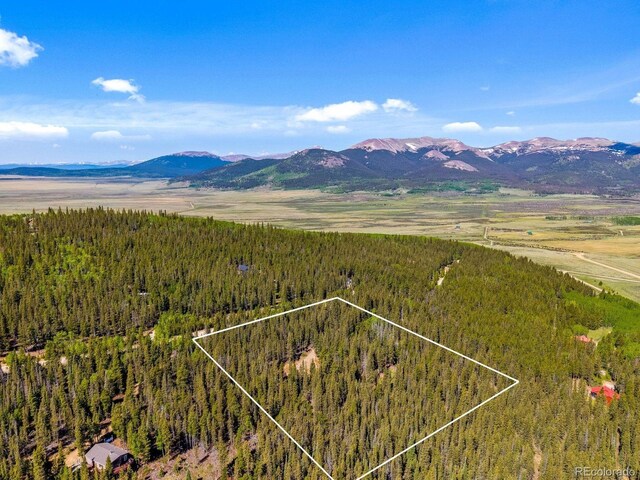 495 Georgia Pass, Jefferson, CO 80456 - mountain view featuring a heavily wooded area