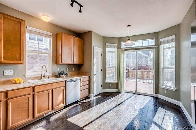 kitchen with sink, dark hardwood / wood-style flooring, dishwasher, a wealth of natural light, and pendant lighting