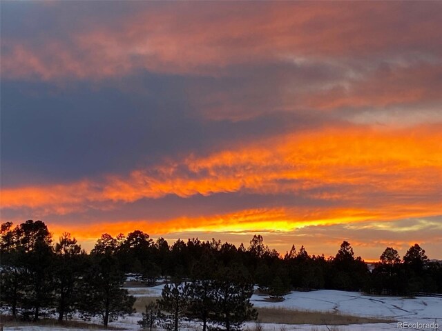 640 Avena Dr, Elizabeth, CO 80107 - photo 50