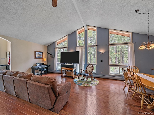 7585 Native Dancer Trl, Evergreen, CO 80439 - living area with a textured ceiling, a chandelier, wood-type flooring, lofted ceiling, and arched walkways