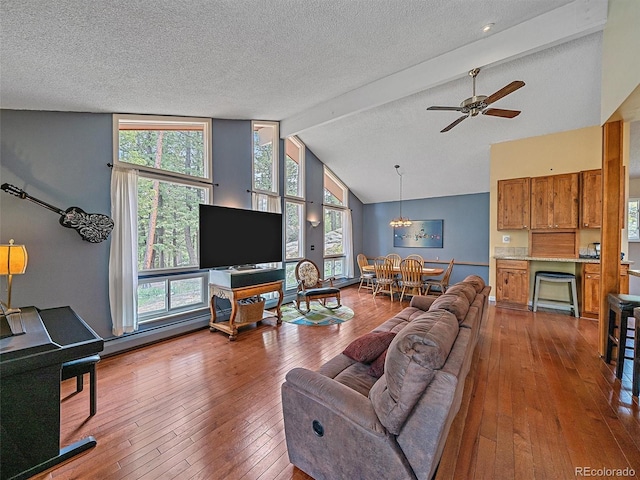 7585 Native Dancer Trl, Evergreen, CO 80439 - living room featuring hardwood / wood-style flooring, a ceiling fan, plenty of natural light, and a textured ceiling