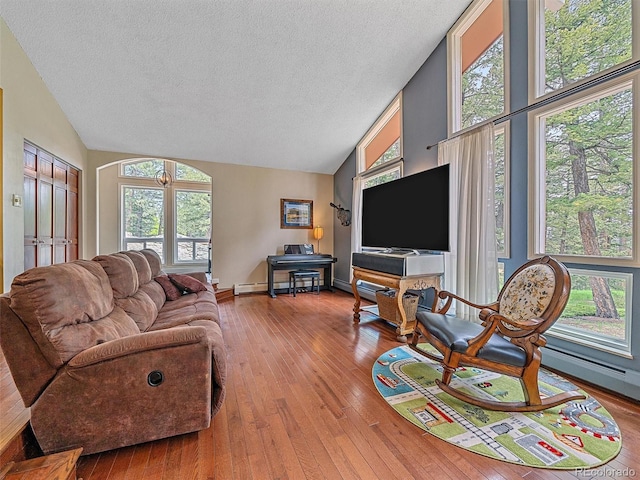 7585 Native Dancer Trl, Evergreen, CO 80439 - living room featuring vaulted ceiling, a textured ceiling, hardwood / wood-style flooring, a baseboard heating unit, and baseboards