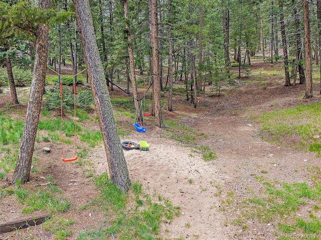7585 Native Dancer Trl, Evergreen, CO 80439 - view of yard featuring a wooded view
