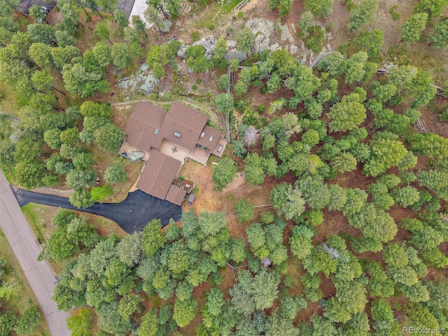 7585 Native Dancer Trl, Evergreen, CO 80439 - aerial view of property and surrounding area
