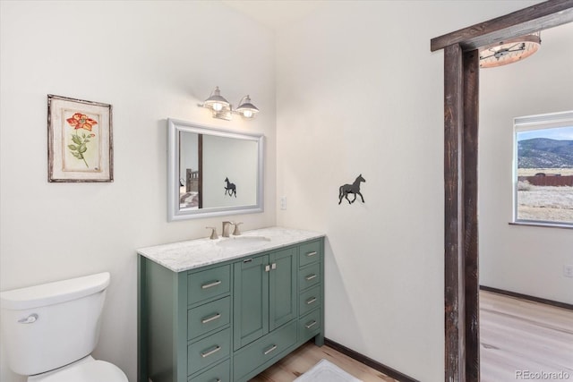 bathroom featuring hardwood / wood-style flooring, vanity, and toilet