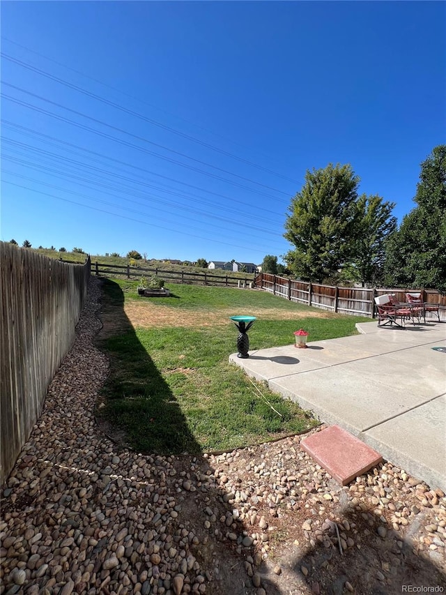 view of yard with a patio area