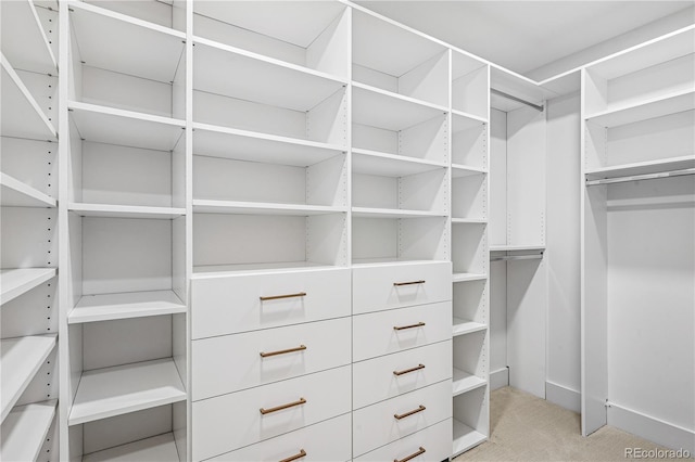 spacious closet with light carpet