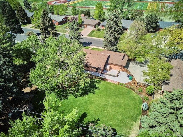 bird's eye view