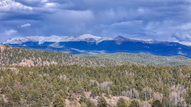 318 Southgate Rd, Florissant, CO 80816 - view of mountain backdrop with a heavily wooded area