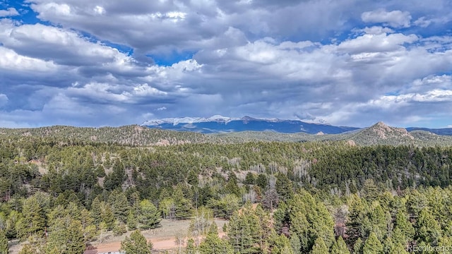 318 Southgate Rd, Florissant, CO 80816 - view of mountain backdrop featuring a forest