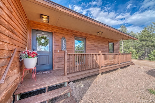 318 Southgate Rd, Florissant, CO 80816 - photo 2