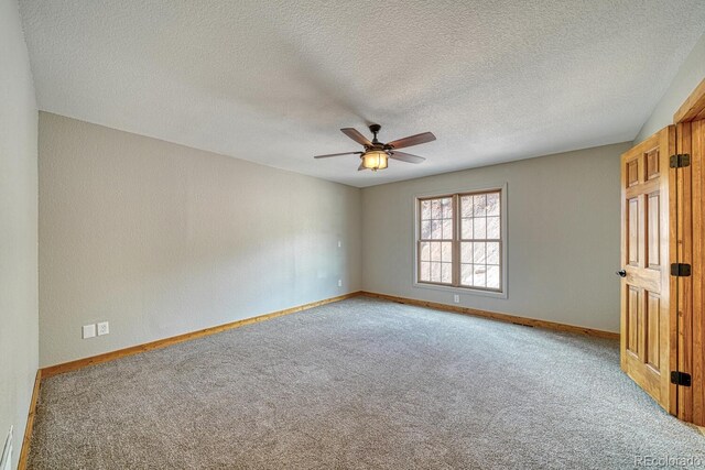 318 Southgate Rd, Florissant, CO 80816 - photo 17