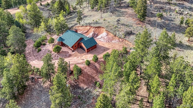 318 Southgate Rd, Florissant, CO 80816 - photo 32