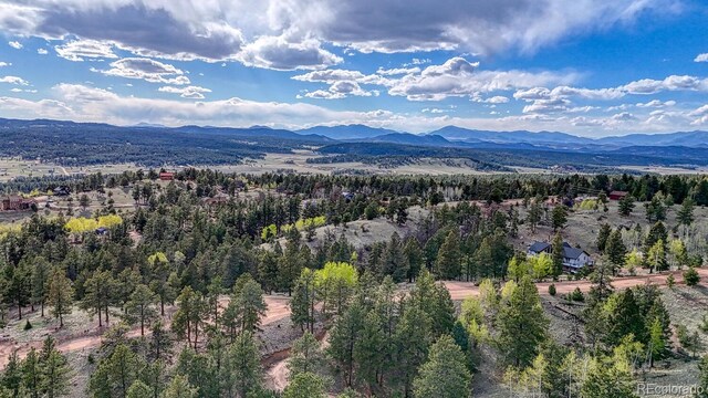 318 Southgate Rd, Florissant, CO 80816 - photo 34