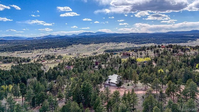 318 Southgate Rd, Florissant, CO 80816 - photo 35